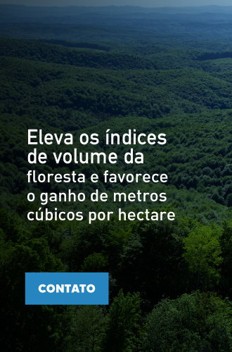 BVI Floresta