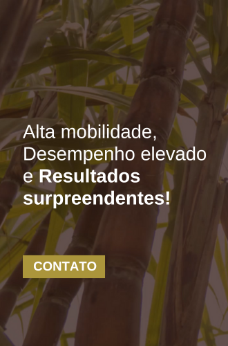 FOSFORO-DE-ALTA-EFICIENCIA-E-MOBILIDADE-1