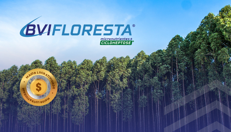 banner-produto-bvifloresta